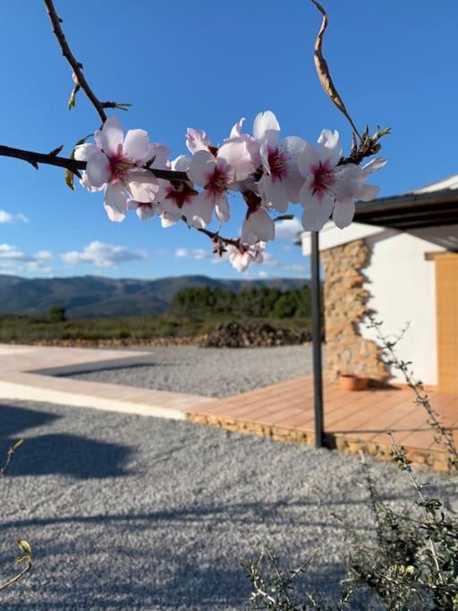 La Llobatera Casa Rural Les Coves de Vinroma Екстериор снимка